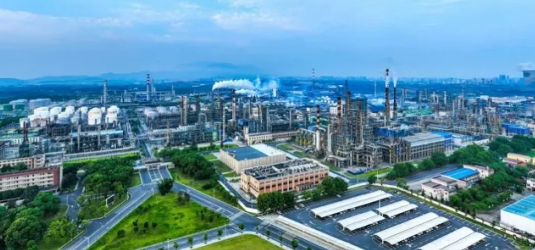 雅安吃喝玩乐网络科技同城本地生活平台运营方案解析